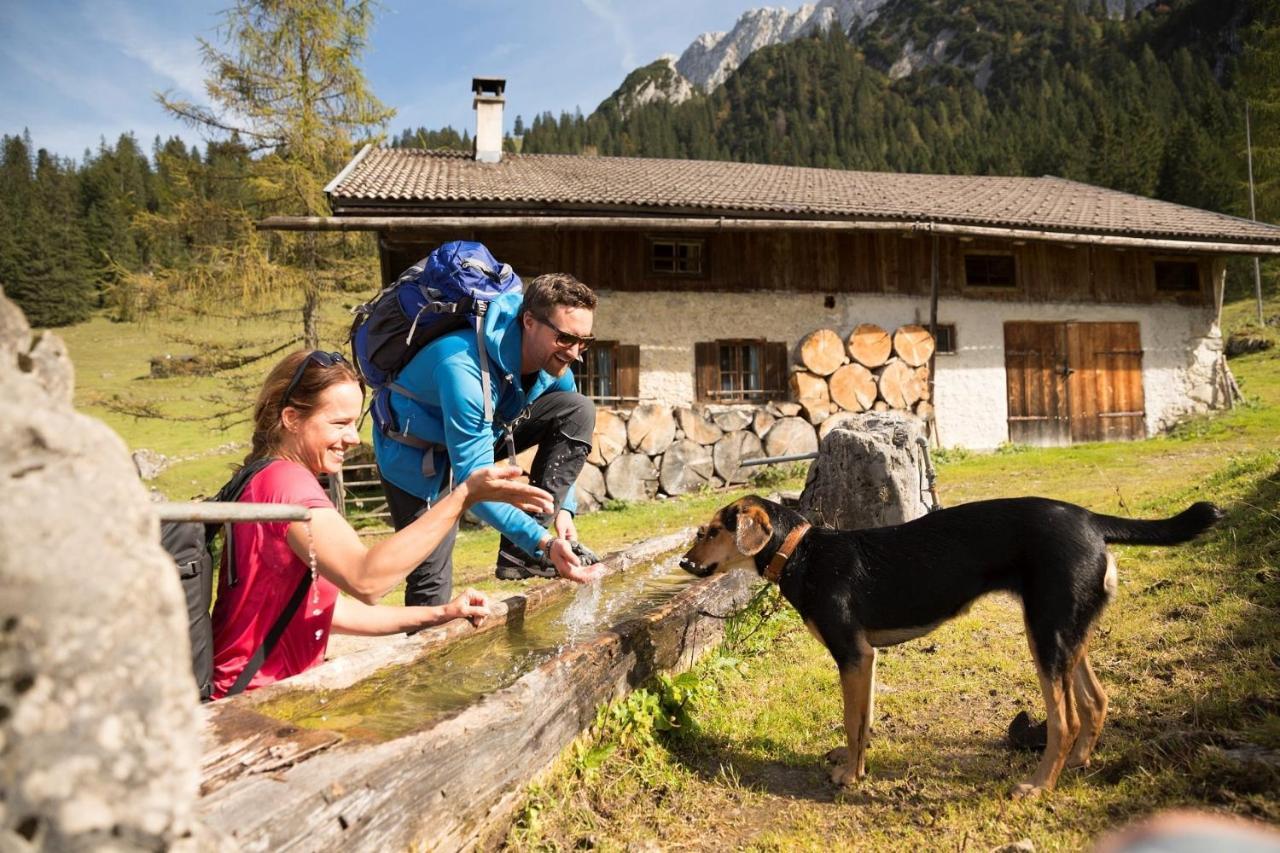 Alpenlodge, Ferienwohnung 16 تيرسي المظهر الخارجي الصورة
